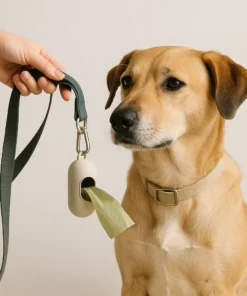 Bolsas y Porta bolsas