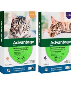 Caja de pipetas Advantage para gatos, antiparasitario externo contra pulgas