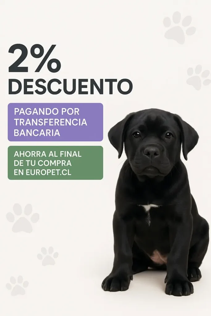 Cachorro negro sentado, mostrando un 2% de descuento al pagar con transferencia bancaria en Europet, con detalles de ahorro al finalizar la compra.