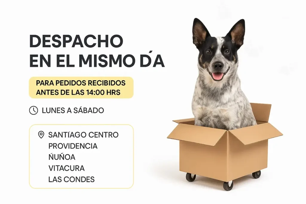 Perro sentado en una caja, anunciando despacho en el mismo día para pedidos realizados antes de las 14:00 horas en Santiago.