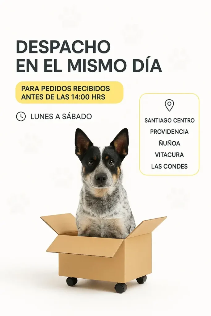 Perro sentado en una caja, promocionando despacho en el mismo día para pedidos realizados antes de las 14:00 horas, cubriendo varias comunas de Santiago.