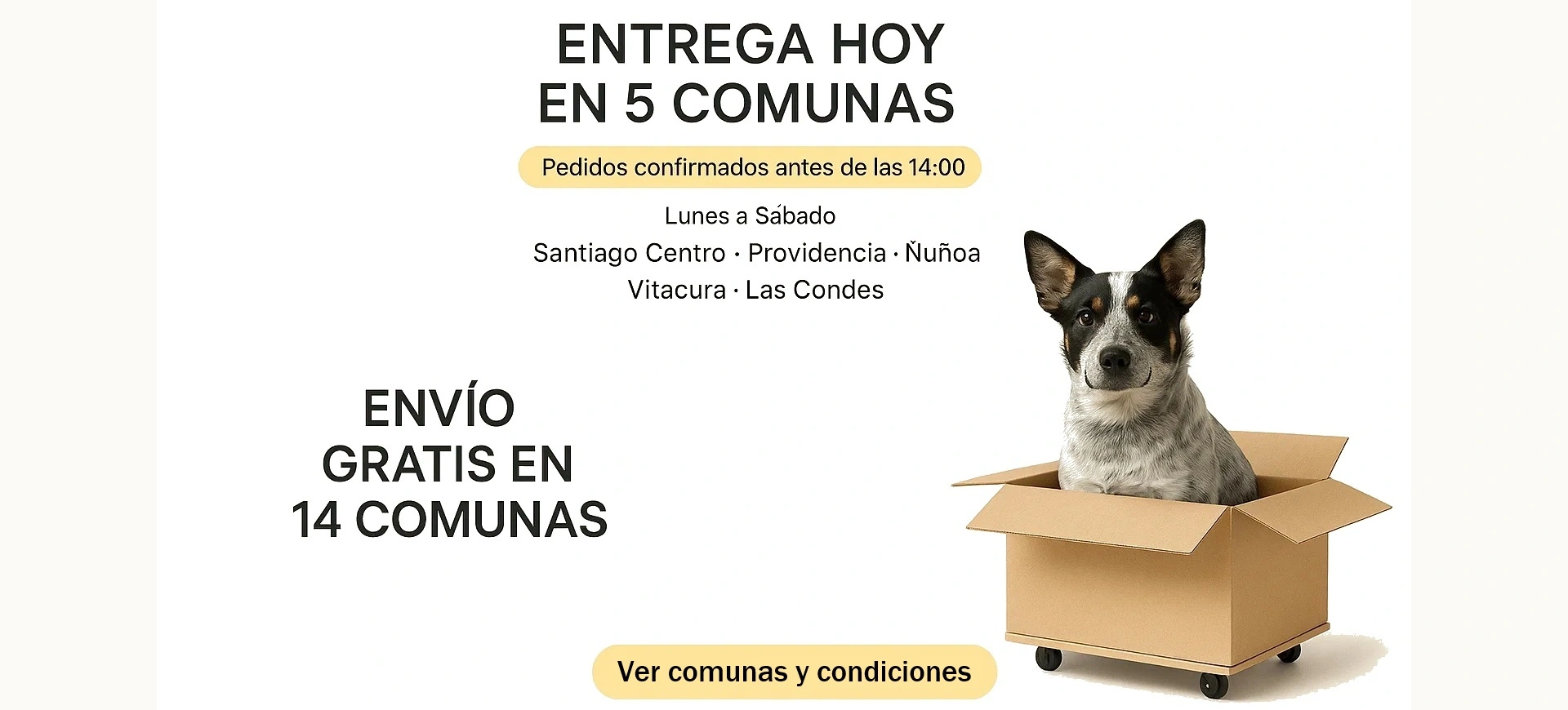Entrega hoy en 5 comunas y envío gratis en 14 comunas de Santiago