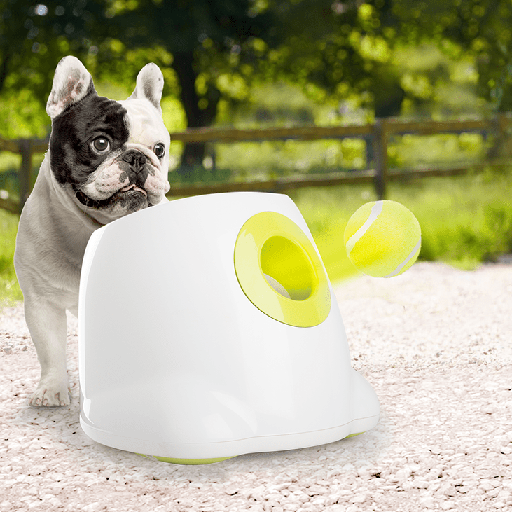 AFP interactive hyper fetch mini Lanzador de Pelotas - Imagen 2