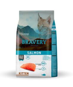 bravery kitten salmon