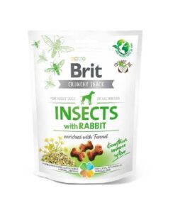 brit insect with rabbit