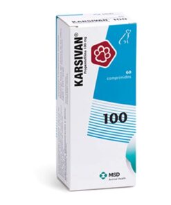 Alternative view of Karsivan 60 comprimidos