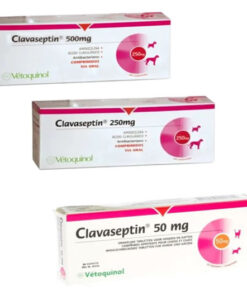 clavaseptin