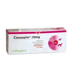 Alternative view of Clavaseptin Venta Receta
