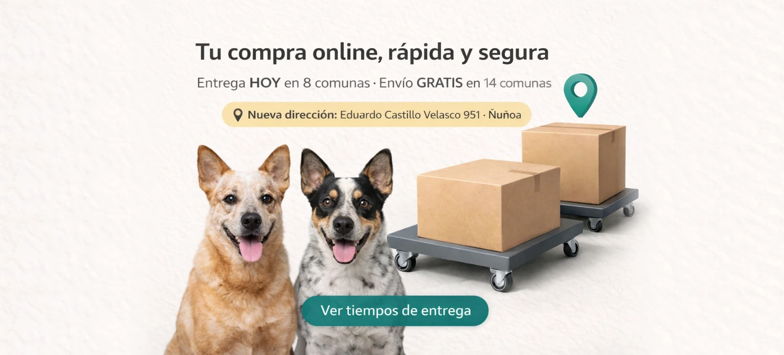 Entrega hoy en 8 comunas y envío gratis en 14 comunas de Santiago