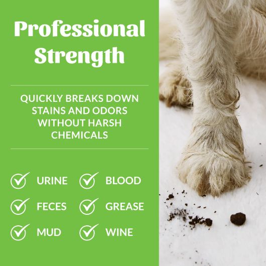 Skout's Honor Stain & Odor Remover para Perros Spray 1035 mL - Imagen 6