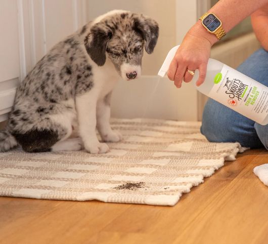 Skout's Honor Stain & Odor Remover para Perros Spray 1035 mL - Imagen 8