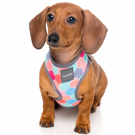 Fuzzyard Arnés para perro - The Hive - Imagen 4