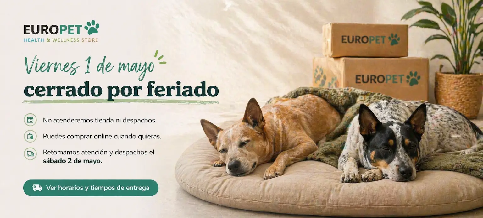 Entrega hoy en 8 comunas y envío gratis en 14 comunas de Santiago