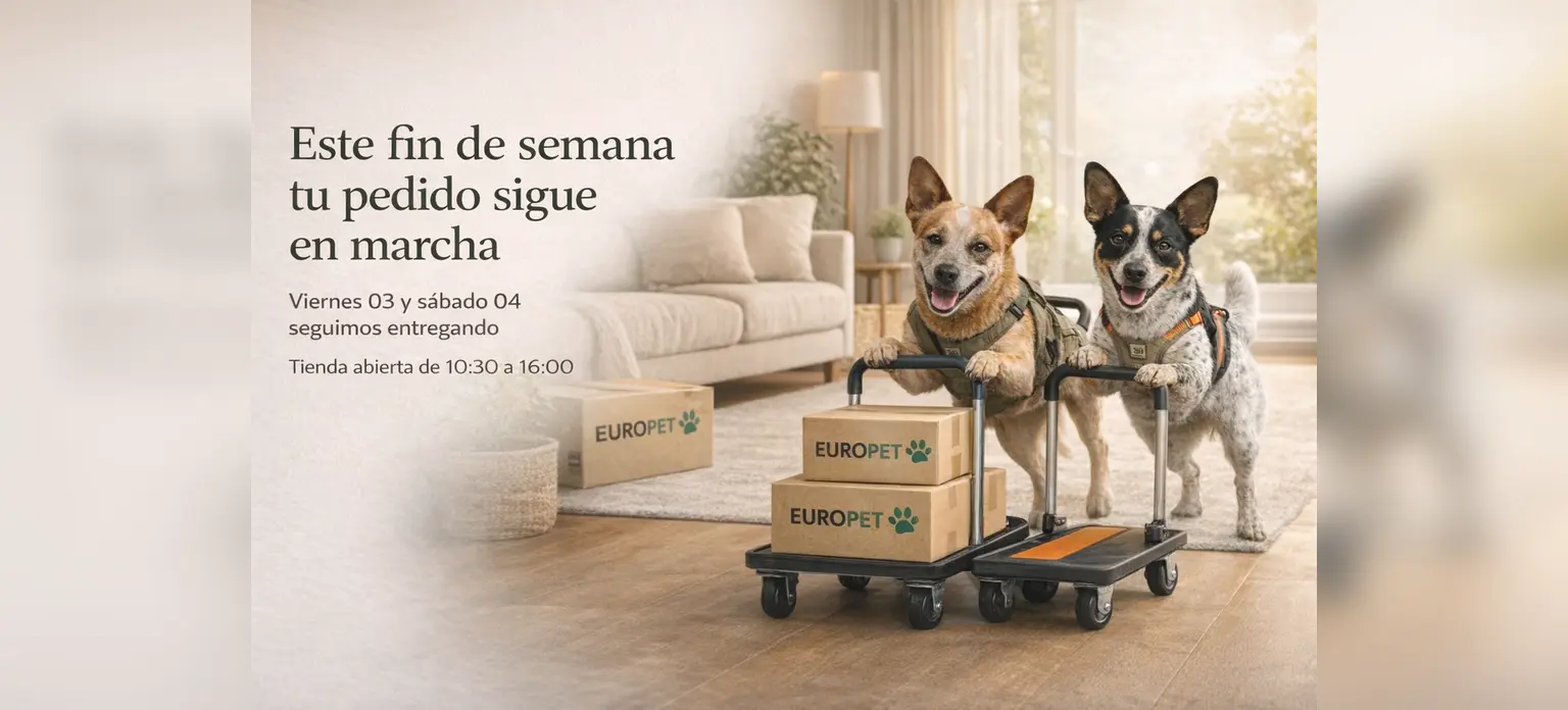 Entrega hoy en 8 comunas y envío gratis en 14 comunas de Santiago