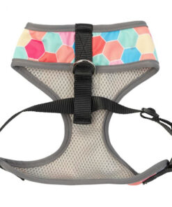 Alternative view of Fuzzyard Arnés para perro - The Hive