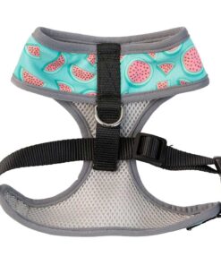 Alternative view of Fuzzyard Arnés para perro - Sumer Punch Sandias