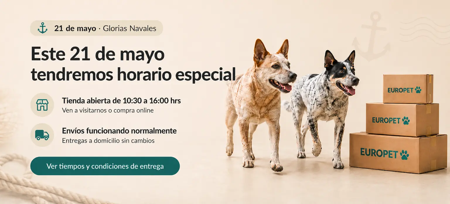 Entrega hoy en 8 comunas y envío gratis en Santiago
