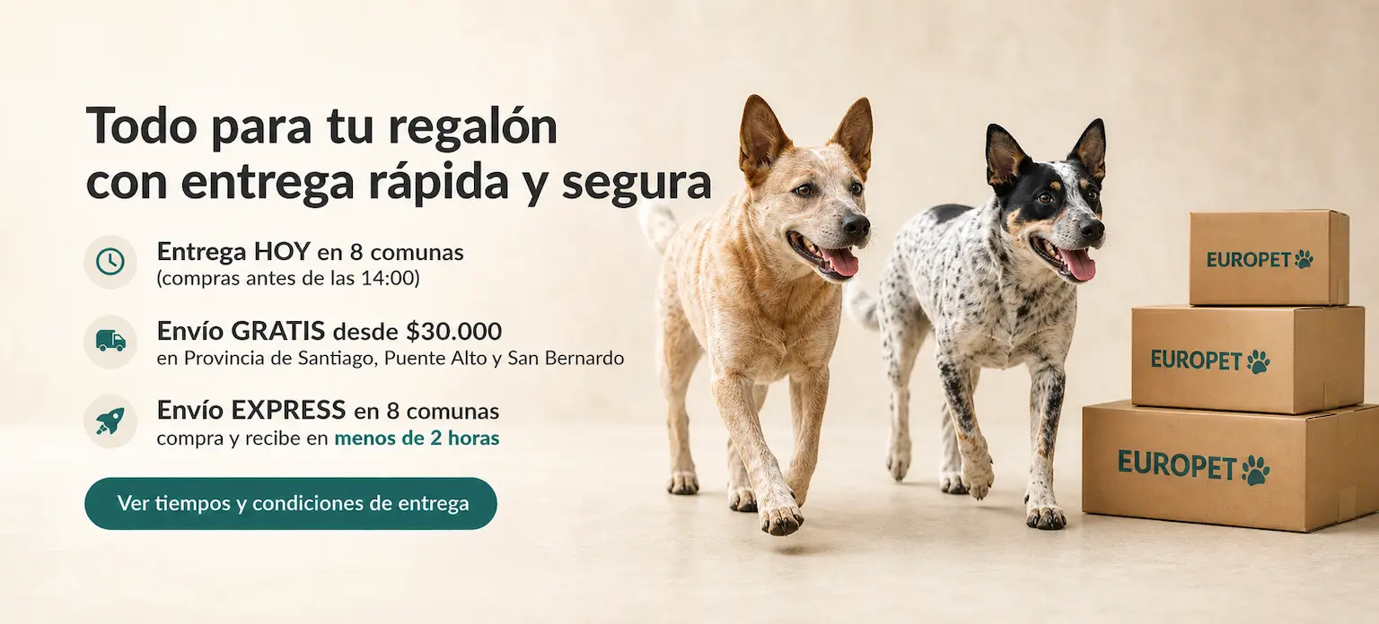 Entrega hoy en 8 comunas y envío gratis en Santiago