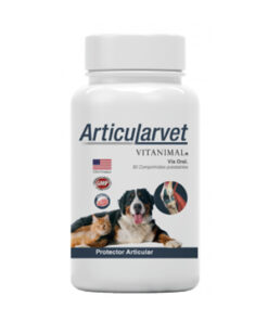 articularvet
