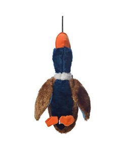 hartz quackers cafe tras