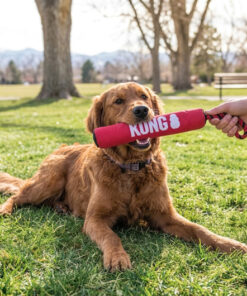 kong signature stick with rope