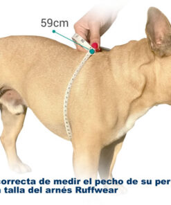 medir pecho