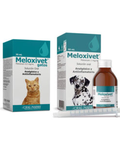 meloxivet