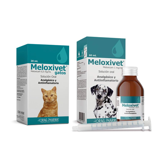meloxivet