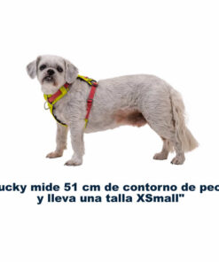 ruffwear hi Light