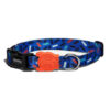 zee dog collar atlanta