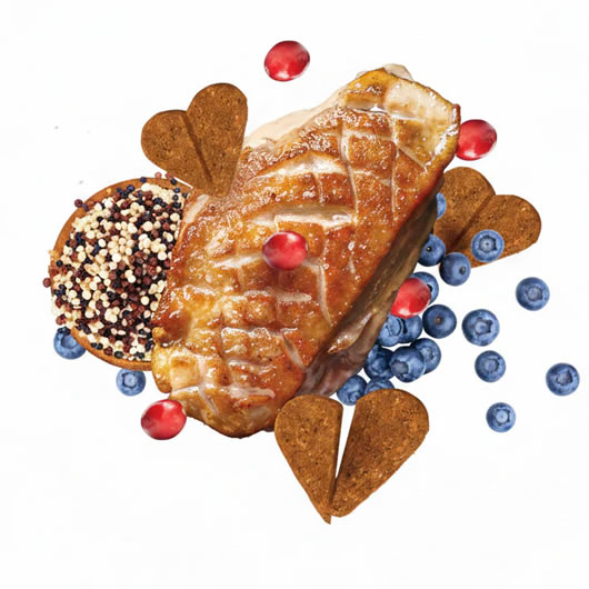 Darford Zero G: Galletas Premium Sin Granos y Sin OGM - Imagen 6