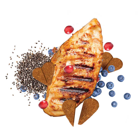 Darford Zero G: Galletas Premium Sin Granos y Sin OGM - Imagen 10