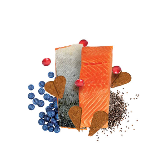 zero darford galletas salmon