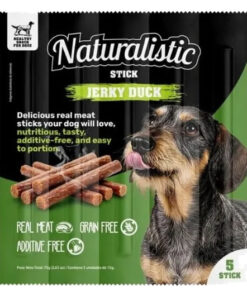 naturalistic jerky duck