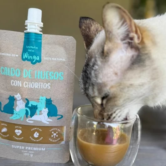 winga caldo huesos choritos gatos3