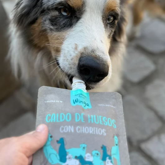 Caldo de huesos con Choritos para Perros - WINGA - Imagen 3